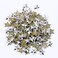 BEADSLAND Beadsland Hotfix Iron On Flat Back Stars Studs 14 Flatback Glue on Studs 300pcs Silver 12x12mm