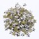 BEADSLAND Beadsland Hotfix Iron On Flat Back Stars Studs 14 Flatback Glue on Studs 300pcs Silver 12x12mm