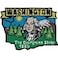 FindingKing State of Washington The Evergreen State 1889 Map Patch 3