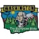 FindingKing State of Washington The Evergreen State 1889 Map Patch 3
