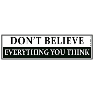 EvolveFISH Dont Believe Everything You Think Bumper Sticker 11 x 3