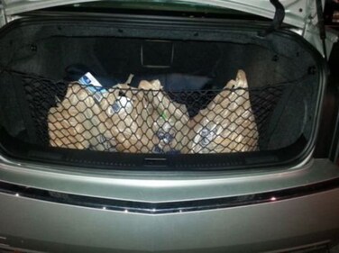 Trunknets Inc Envelope Style Trunk Cargo Net for Cadillac CTS 2004 2005 2006 2007 2008 2009 2010 2011 2012 2013 2014 New