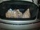 Trunknets Inc Envelope Style Trunk Cargo Net for Cadillac CTS 2004 2005 2006 2007 2008 2009 2010 2011 2012 2013 2014 New