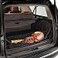 Trunknets Inc TrunkNets Inc Envelope Style Trunk Cargo Net for Chevrolet Tahoe LS LT PPV Premier SSV 2015 2016 2017 2018 2019 2020