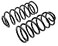 MOOG 8621 Coil Spring Set for Ford Mustang