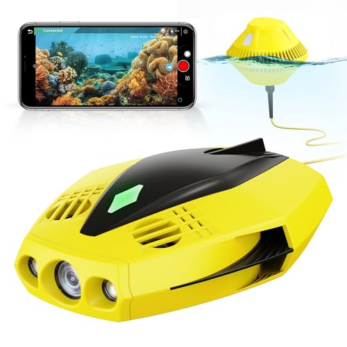 Chasing Chasing Dory Underwater Drone
