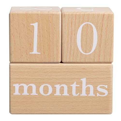 pearhead Pearhead Wooden Baby Age Milestone Blocks