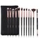 Daubigny Eye Makeup Brushes 12 PCS Professional Eye shadow Concealer Eyebrow Foundation Powder Liquid Cream Blending Brushes Set With Carrying Bag Black