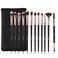Daubigny Eye Makeup Brushes 12 PCS Professional Eye shadow Concealer Eyebrow Foundation Powder Liquid Cream Blending Brushes Set With Carrying Bag Black