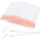 EBOOT eBoot 100 Pack Disposable Eyeliner Brush Applicator Cosmetic Eye Wands Makeup Tool Clear