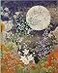 PETER PAUPER Autumn Moon Journal Diary Notebook