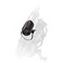 Insta360 INSTA360 MINI Remote for X5 X4 ACE PRO 2 GO 3S Action Camera