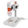 Celestron Labs Digital 5MP Handheld Microscope Adjustable Focus 20x200x Magnification Compatible with Windows Mac Great for Educators Hobbyists Professional Captures Images Movies