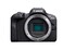 Canon EOS R100 Mirrorless Camera RF Mount 241 MP DIGIC 8 Image Processor Continuous Shooting Eye Detection AF Full HD Video 4K Small Lightweight WiFi Bluetooth Content Creation