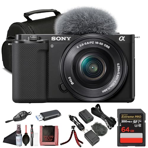 SONY SONY ZVE10 64GB