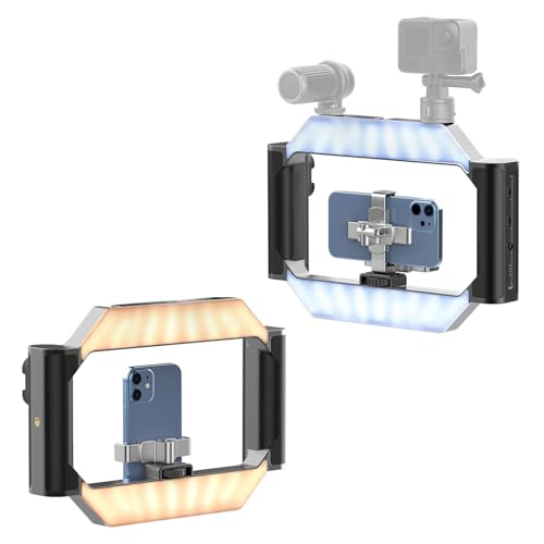 ulanzi Ulanzi u-rig Light Smartphone Video Rig 90W