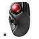 ELECOM HUGE Trackball 24GHz Wireless USB Index Finger Control Customizable 8Button Large Soft Palm Rest 52mm Ball Windows PC Mac MHT1DRBK