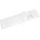 COOSKIN TPU Clear Keyboard Cover Protector for 2017 Released Apple Magic Keyboard with Numeric Keypad US Layout A1843 Keyboard Skin