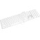 COOSKIN TPU Clear Keyboard Cover Protector for 2017 Released Apple Magic Keyboard with Numeric Keypad US Layout A1843 Keyboard Skin
