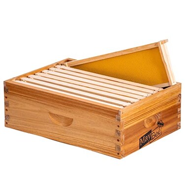 MayBee 8Frame Beehive Box Langstroth Medium Super Bee Box for Sale Wax Coated Bee Hives Includes Wooden Frames Waxed Foundations Unassembled
