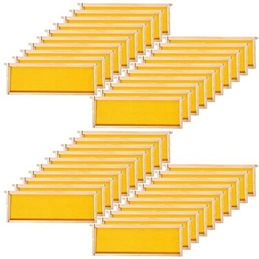 BeeCastle 40Pack Beehive Bee Frames Waxed Foundation with Complete Unassembled Commercial Frames 614Inch Yellow