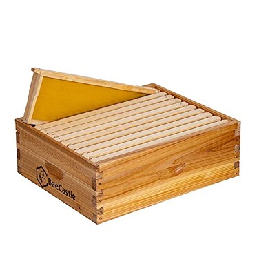 BeeCastle 10 Frame Medium Super Bee Hive Box Langstroth Honey Bee Hive Dipped in 100 Beeswax Include Beehive Frames and Wax Foundations Unassembled