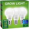 Briignite Full Spectrum LED Grow Light Bulb A19 E26 Base 11W 100W Equivalent for Indoor Plants Seed Starting 3 Pack