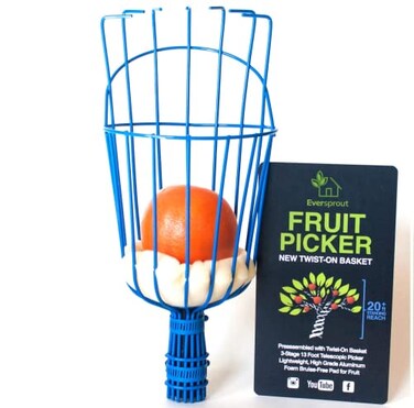 EVERSPROUT TwistOn Fruit Picker Basket Twists onto Standard US Threaded Pole 34inch ACME Fruit Picker Head Basket Fruit Harvesting Tool Apple Mango Picker etc Head Only Pole Not Included