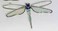 Unknown Stained Glass Dragonfly Suncatcher RED Body