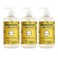 Mrs. MEYER'S Mrs MEYERS CLEAN DAY Hand Soap Dandelion Scent 125 Fl Oz Bottle 3 Pack
