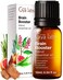 Gya Labs Brain Booster Essential Oils Blends 034 Fl Oz for Diffuser Home Humidifier Aromatherapy and DIY Candle Making Scents