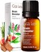 Gya Labs Brain Booster Essential Oils Blends 034 Fl Oz for Diffuser Home Humidifier Aromatherapy and DIY Candle Making Scents