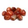 CrystalAge Fire Agate Tumble Stone 2025mm Single Stone