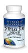 Planetary Herbals Slippery Elm Lozenges 100 Count