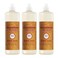 Mrs. MEYER'S MRS MEYERS CLEAN DAY Liquid Dish Soap Apple Cider Scent 16 Fl Oz Bottle 3 Pack