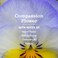 Mrs. MEYER'S MRS MEYERS CLEAN DAY Liquid Dish Soap Compassion Flower Scent 16 Fl Oz Bottle 3 Pack