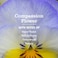 Mrs. MEYER'S MRS MEYERS CLEAN DAY Liquid Dish Soap Compassion Flower Scent 16 Fl Oz Bottle 3 Pack