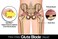 GLUTE BLADE Piriformis Massage Roller Targeted Trigger Point Massager Tool for Hip Leg Lower Back Muscle Knot Release and Sciatica 3 Different Heads Medium Density Yellow