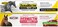Durvet Ivermectin Apple Flavor Duramectin Paste Dewormer Bundle 608g 187 2 Pack