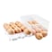 DELIFUR 2 Tiers Egg Container Deviled Egg Carrier Eggs Holder with Handle Fridge Freezer Storage by White