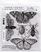 Tim Holtz Stampers Anonymous Specimen Cling Stamp CMS410