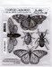 Tim Holtz Stampers Anonymous Specimen Cling Stamp CMS410