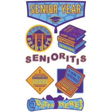 Sticko Metallic Dimensional StickersSenior Year