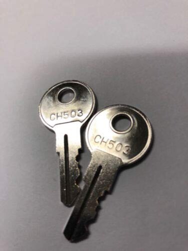 CUTE 4 Cut Keys Code CH503 for RV Compartment Lock Truck Tool Box Cargo 2 Pcs