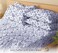 RUVANTI 6 Pcs Cotton Sheets 100 Natural Cotton Soft Lightweight Breathable Crispy Percale Sheets Full Size Bed Sheets 16 Deep Pockets Wild Flower