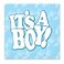 Beistle Its A Boy Baby Blue Beverage Napkins