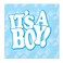 Beistle Its A Boy Baby Blue Beverage Napkins