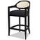 Jennifer Taylor Home Americana 26 Cane Back CounterHeight Bar Stool Black