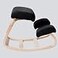 Sleekform Austin Kneeling Chair Home Office Ergonomic Computer Desk Stool For Active Sitting