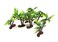THE UM24 Mini Plastic Artificial Palms Trees 6PC